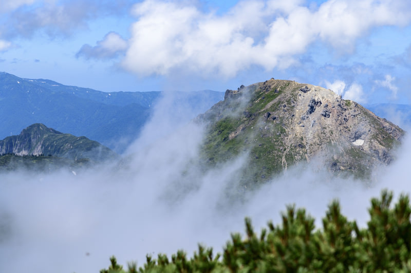 地図から探せる新潟県でペットと泊まれる宿泊施設ガイド
